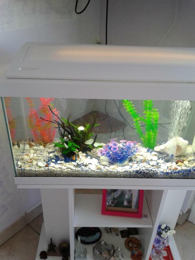 מלון Milan House מראה חיצוני תמונה